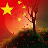 雨中的梧桐