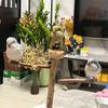 粤语小鸡