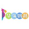 湖北钟祥华海鹦鹉-可乐
