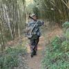 方老师山野寻味记
