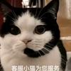廿柒柒柒♡.🦁🐰