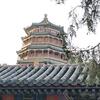 晓慢妈咪