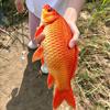 撒花花🎣