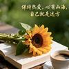 苦尽甘来
