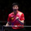 陈玉龙🏓️