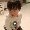 Al 萌娃笑翻天
