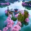 天天微剧场
