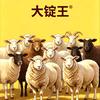养羊赵助理