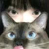 鞥鞥的嗯