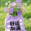 英姐爱分享