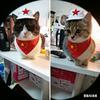 一禾一田