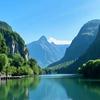 一片青山