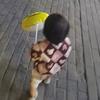 稔禾