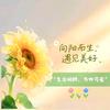 少忧多甜