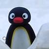 小企鹅🐧
