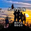 九白航拍