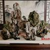 荣荣