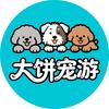大饼带狗玩（新疆川西甘南草原）