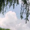 橘子海🍊