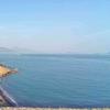 与李同行