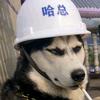 阿彬语铺