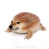 扔了根本没有