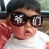 Domi等2.8万小猪