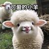 释然_(小凯)