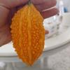 小赖赖