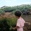霞姐🥕🥦