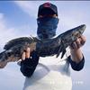 @鼎鼎🎣