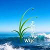 无根草