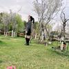梅梅吖🌻