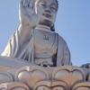 幸运草