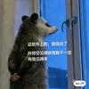 晚星