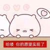 ⋆𐙚₊chiia𖥦a🐾