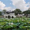 娜样青春