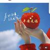 新语星愿
