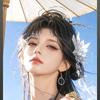 洛洛小队长