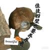 佳徒四壁也要养龟🐢