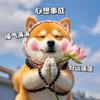 強哥说剧