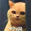梦幻•灿若星辰