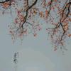 春天儿