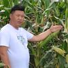 豫东三农人小郭