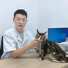 郑州修猫修狗耿兽医