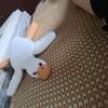 吴六六