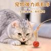 小彤宠物用品小铺