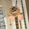 猴哥