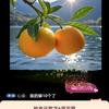 果不其然