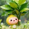 小明( ﹡ˆoˆ﹡ )